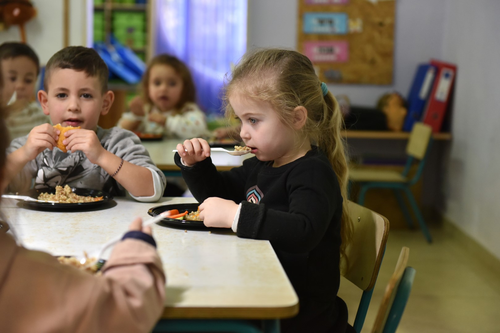 גלריית תמונות צהרונים