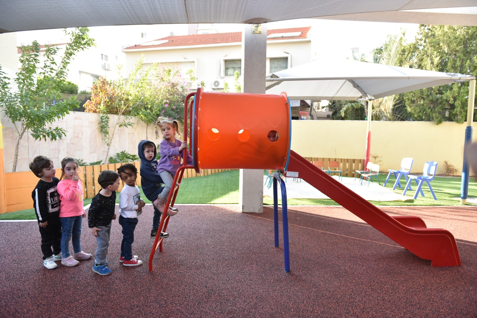 גלריית תמונות צהרונים